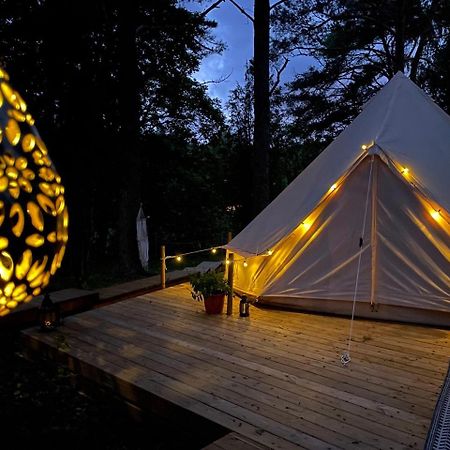 Tent Delhi A B&B In A Luxury Glamping Style マリーフレッド エクステリア 写真