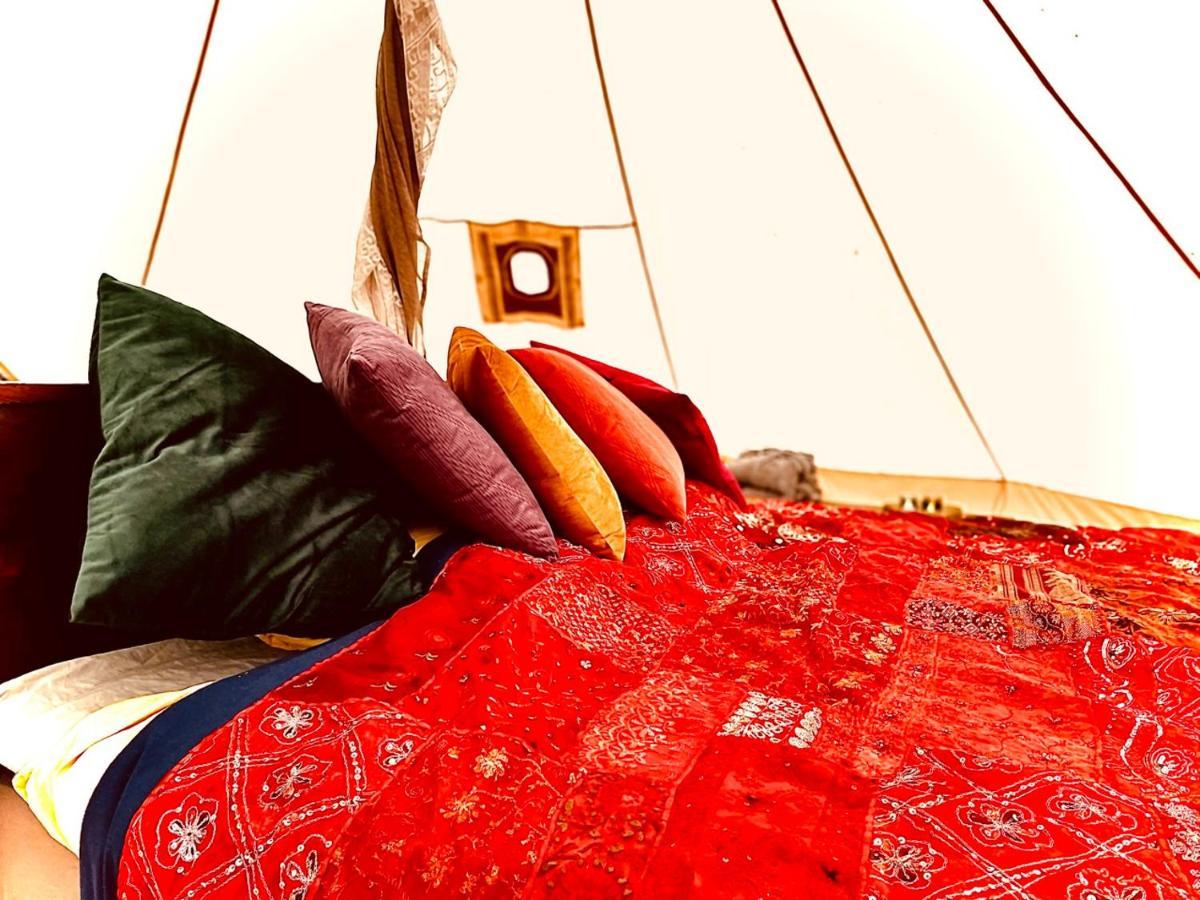 Tent Delhi A B&B In A Luxury Glamping Style マリーフレッド エクステリア 写真